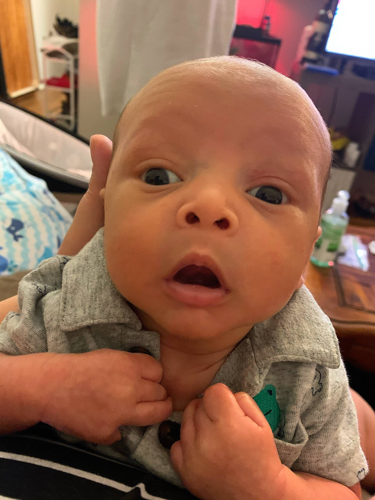 Majesty joined the competition — help win amazing prizes! baby, cheek, child, chin, eyebrow, face, facial_expression, finger, forehead, head, lip, mouth, nose, person, skin, smile, surprise, thumb, toddler
