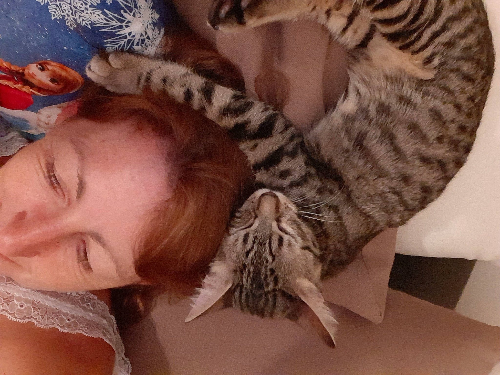 Kitty a rejoint le concours — aidez-le/la à gagner de superbes lots ! american_shorthair, asian, bengal, carnivore, cat, dragon_li, ear, egyptian_mau, european_shorthair, felidae, fur, kitten, nap, pixie_bob, sleep, small_to_medium_sized_cats, tabby_cat, whiskers