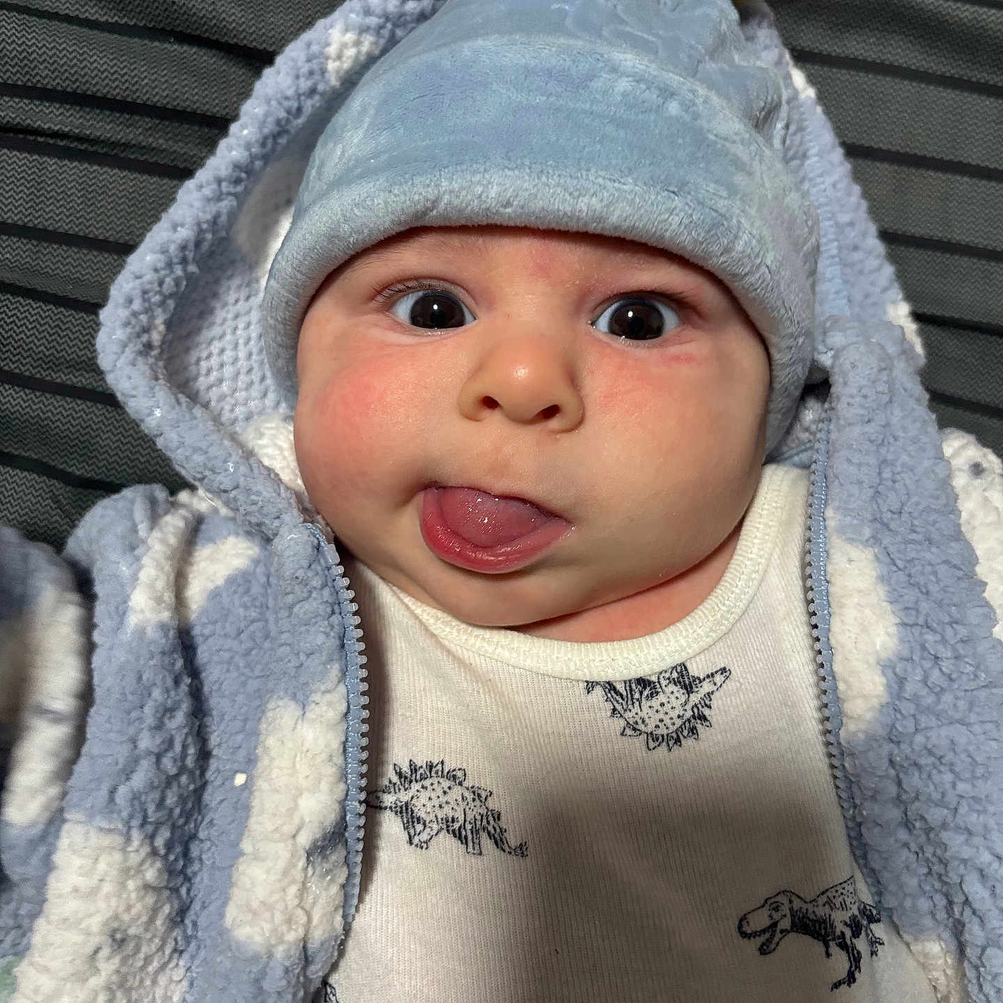 Adam joined the competition — help win amazing prizes! baby, blue_clothing, cheeks, child, close_up, cozy, curious_eyes, cute, dinosaur_print, face, hat, indoor, infant, jacket, lying_down, onesie, pom_pom, portrait, tongue, warm_clothing