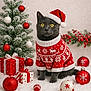 cat, christmas_sweater, christmas_tree, cute, decorations, festive, gift_boxes, gray_cat, holiday, holiday_season, indoor, ornaments, pet, presents, red_ornaments, santa_hat, snow, white_ornaments, winter, yellow_eyes
