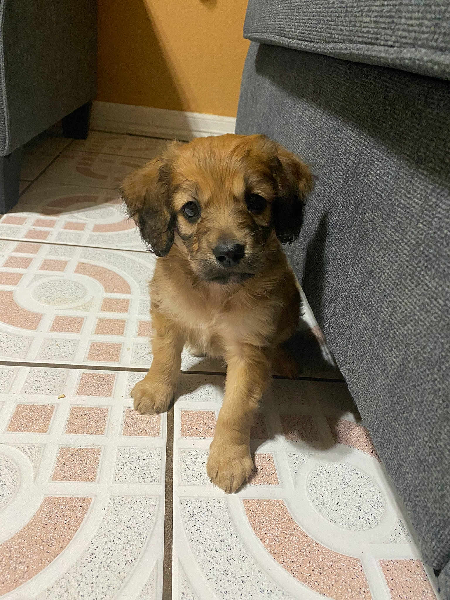 Milooo