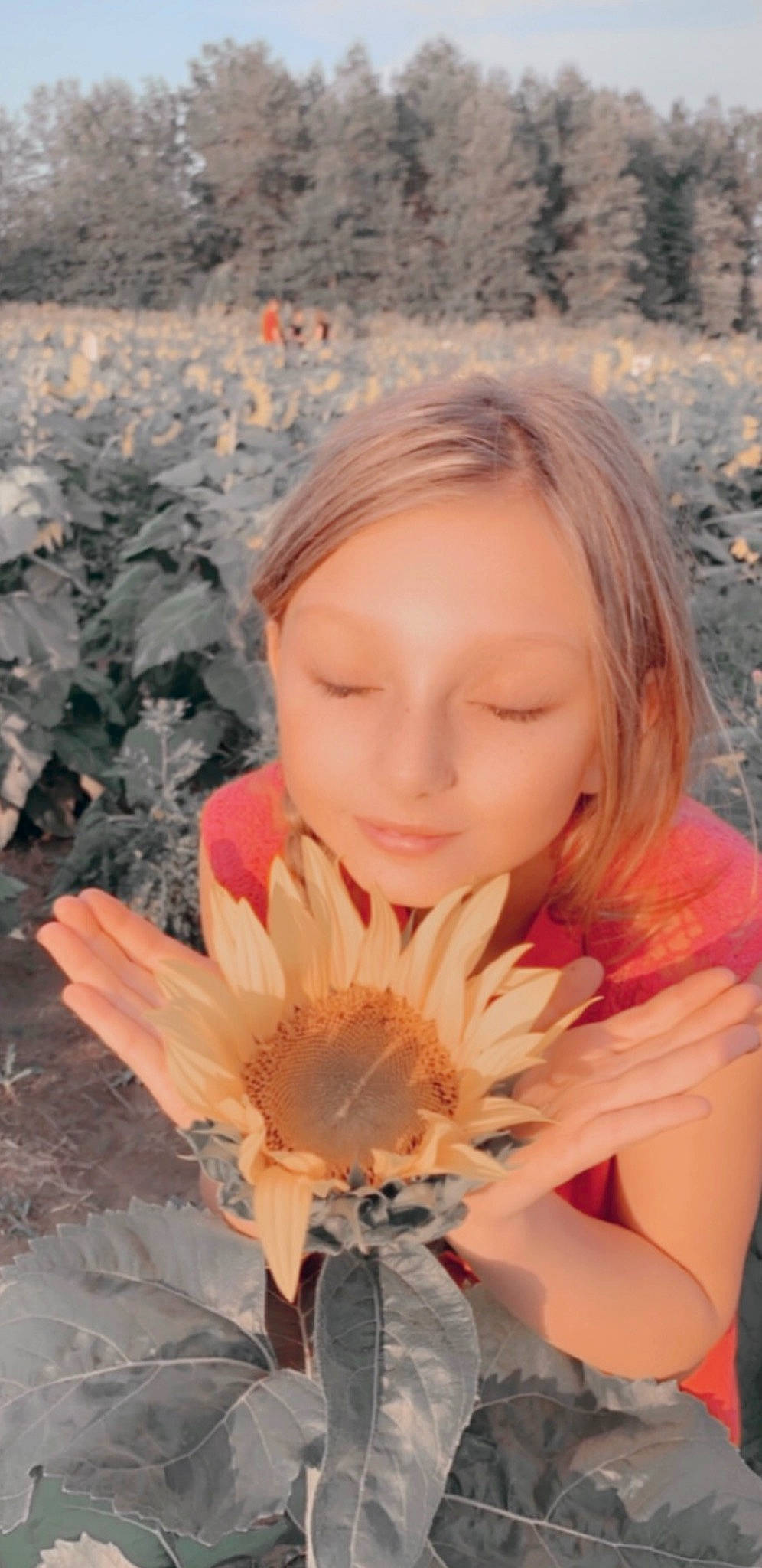 Kadence joined the competition — help win amazing prizes! annual_plant, beauty, blond, brown_hair, close_up, eye, flower, flowering_plant, grass, hair, happy, head, iris, long_hair, orange, peach, people_in_nature, person, petal, plant