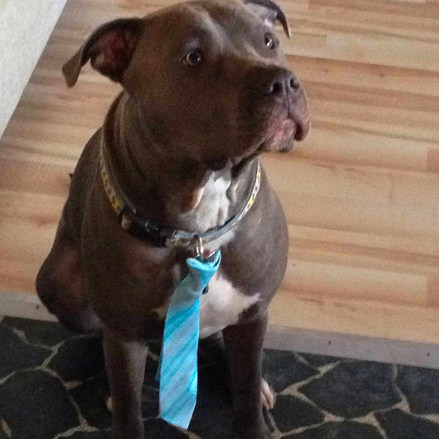 Cooper joined the competition — help win amazing prizes!