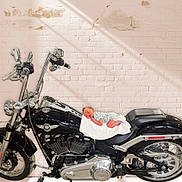 Huxley joined the competition — help win amazing prizes! baby, newborn, motorcycle, harley_davidson, black, white_brick_wall, blanket, sleeping, chrome, engine, wheel, handlebars, seat, shadow, indoor, cute, peaceful, small, infant, vehicle