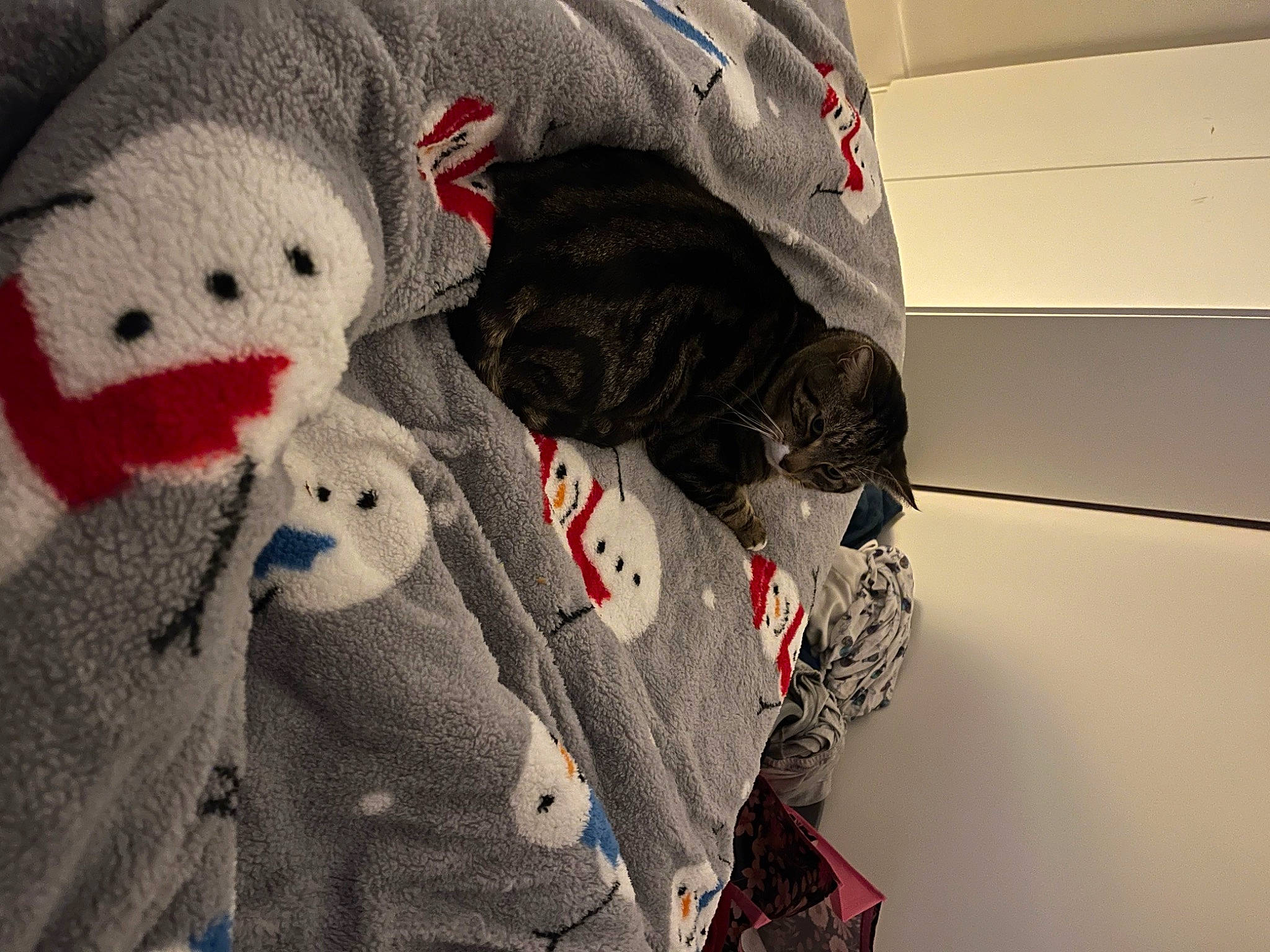 Babe joined the competition — help win amazing prizes! art, bag, beanie, cap, carmine, comfort, craft, fur, grey, knit_cap, linens, pattern, plush, room, stuffed_toy, thread, toy, wool, woolen, woven_fabric