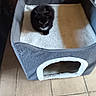 cat, black_cat, pet_bed, fleece, gray, cozy, indoor, floor_tiles, animal, feline, looking_up, resting, soft_texture, home, domestic, cute, small, fur, comfortable, animal_bed