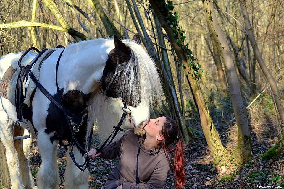 Mustang R participe au concours pour gagner de l'argent avec cette photo : bridle, forest, grass, horse, horse_harness, horse_like_mammal, horse_supplies, horse_tack, mane, pack_animal, person, plant, rein, stallion, trail_riding, tree, woodland