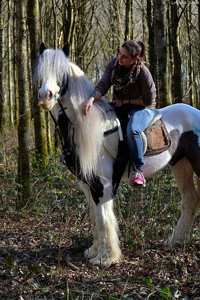 Mustang R participe au concours pour gagner de l'argent avec cette photo : horse, horse_like_mammal, horse_supplies, horse_tack, joy, livestock, mane, mare, mustang_horse, pack_animal, person, stallion, trail_riding, tree