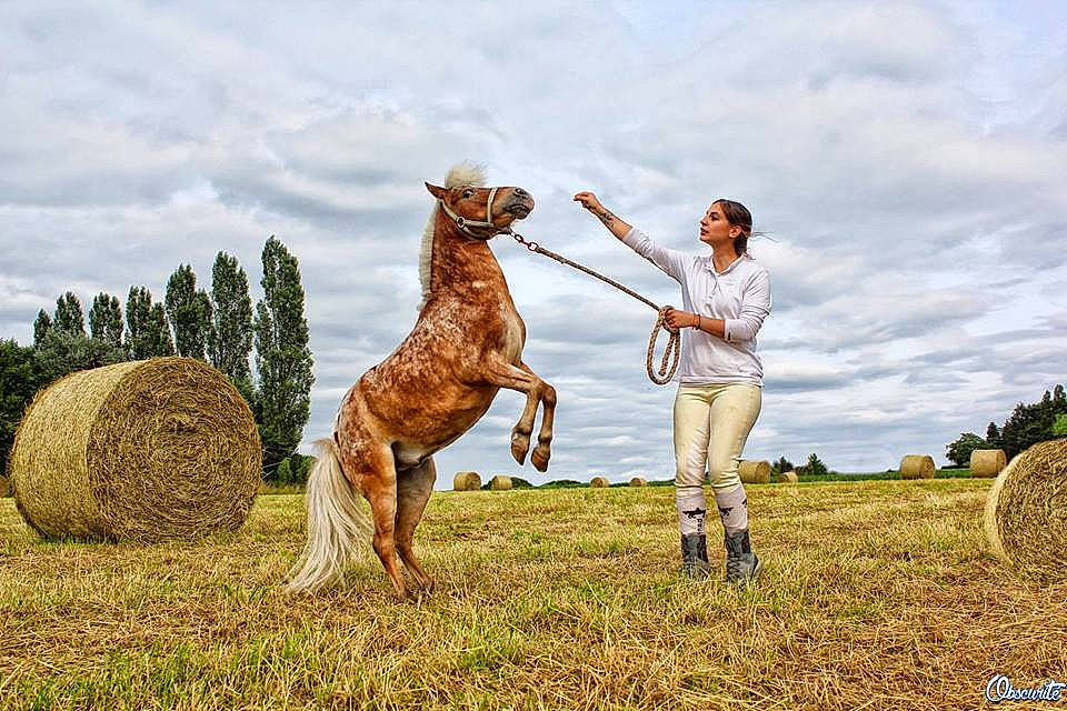 Indigo participe au concours pour gagner de l'argent avec cette photo : ecoregion, farm, field, fun, grass, grass_family, grassland, hay, meadow, pasture, person, plant, prairie, ranch, rural_area, steppe