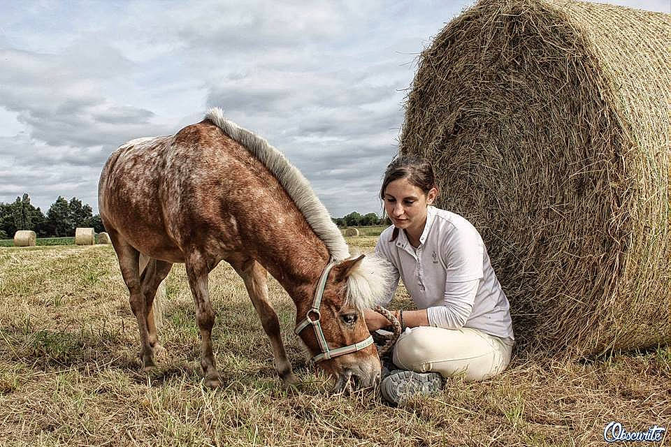Indigo participe au concours pour gagner de l'argent avec cette photo : agriculture, farm, field, goats, grass, hay, horse, horse_like_mammal, livestock, mare, pack_animal, pasture, person, rural_area, tree