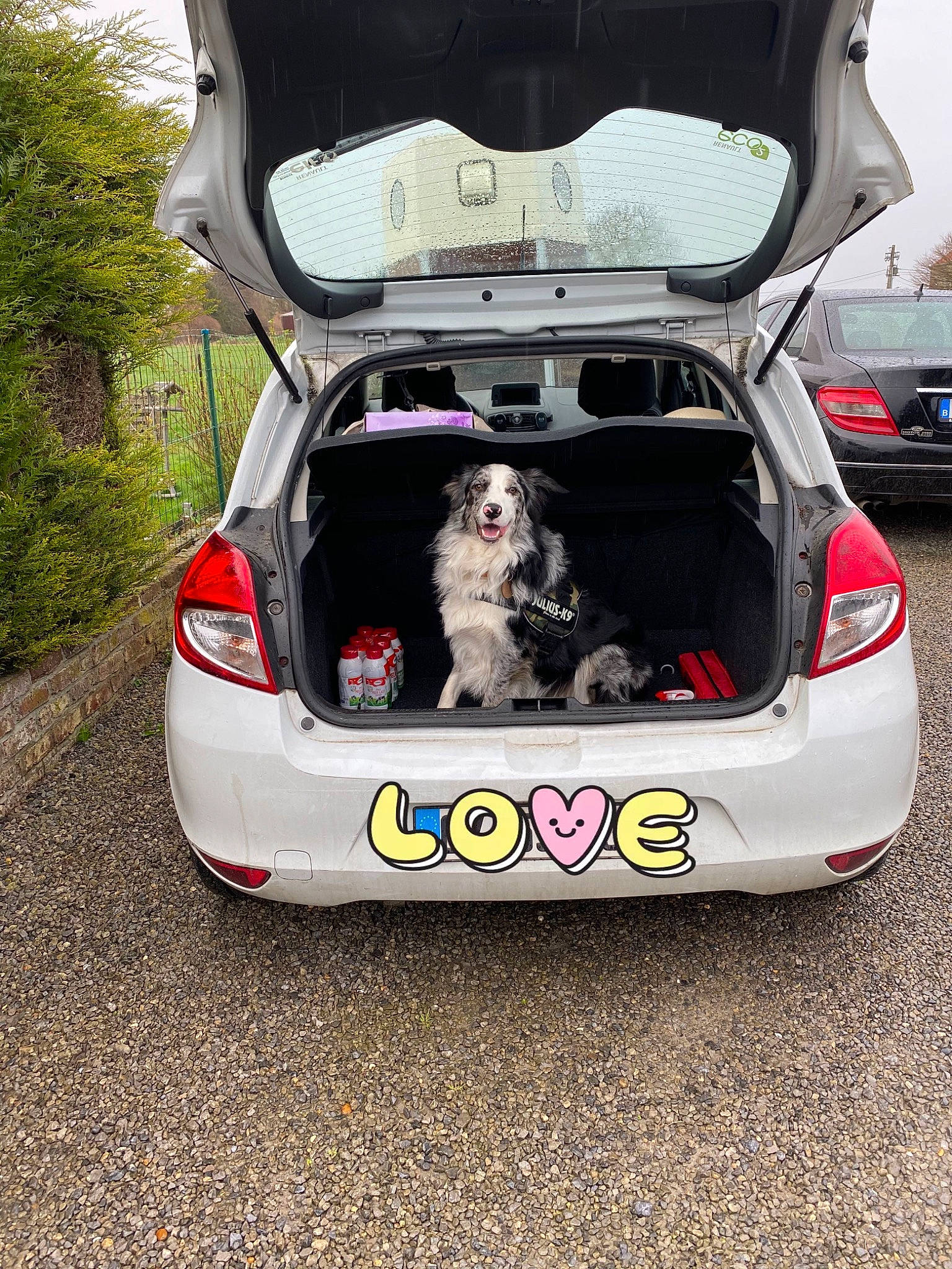 Eiko participe au concours pour gagner de l'argent avec cette photo : auto_part, automotive_design, automotive_exterior, automotive_wheel_system, bumper, car, city_car, compact_car, family_car, hatchback, hot_hatch, land_vehicle, mid_size_car, subcompact_car, supermini, toyota, trunk, vehicle, vehicle_door, wheel