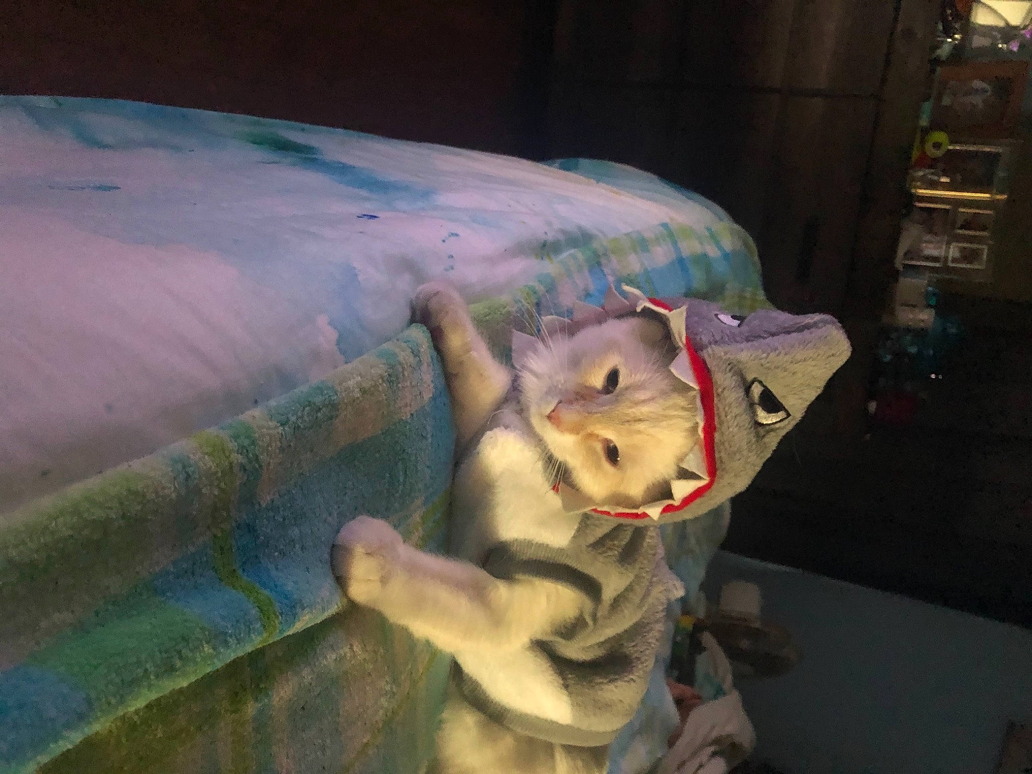 Rocky joined the competition — help win amazing prizes! art, fawn, fictional_character