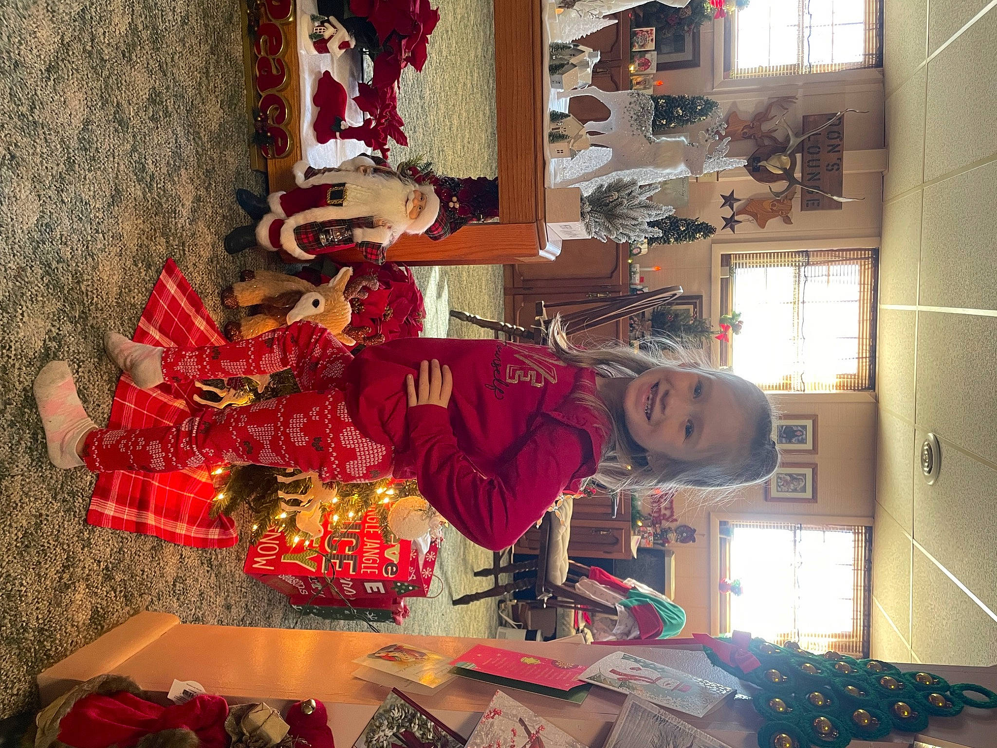 Adaleigh is registered to the contest to win money with this photo: carmine, christmas_decoration, christmas_ornament, christmas_tree, event, fun, holiday, joy, magenta, ornament, pattern, person, plant, red, room, smile, snapshot, temple, toddler, tradition