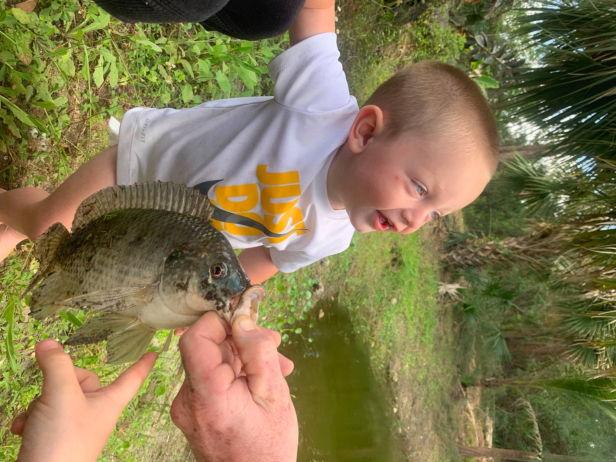 Tucker is registered to the contest to win money with this photo: adaptation, crocodile, fish, fishing, grass, grey_squirrel, natural_environment, organism, people_in_nature, person, plant, ray_finned_fish, recreation, rodent, t_shirt, tail, terrestrial_animal, terrestrial_plant, toddler, tree