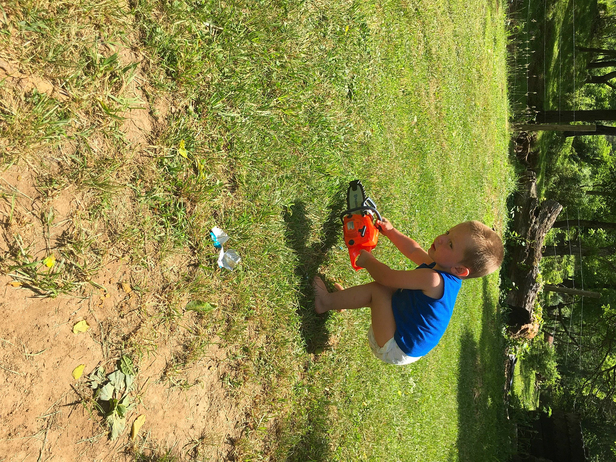 Tucker joined the competition — help win amazing prizes! adventure, elbow, forest, fun, grass, jungle, landscape, leaf, leisure, people_in_nature, person, plant, play, recreation, rope, shadow, shorts, shrub, soil, sport_climbing