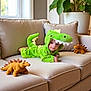 Lynao participe au concours pour gagner de l'argent avec cette photo : baby, child, dinosaur_costume, plush_toy, couch, sofa, indoor, plant, green, beige, cute, smiling, face, costume, toy, living_room, soft_toys, infant, home, relaxing