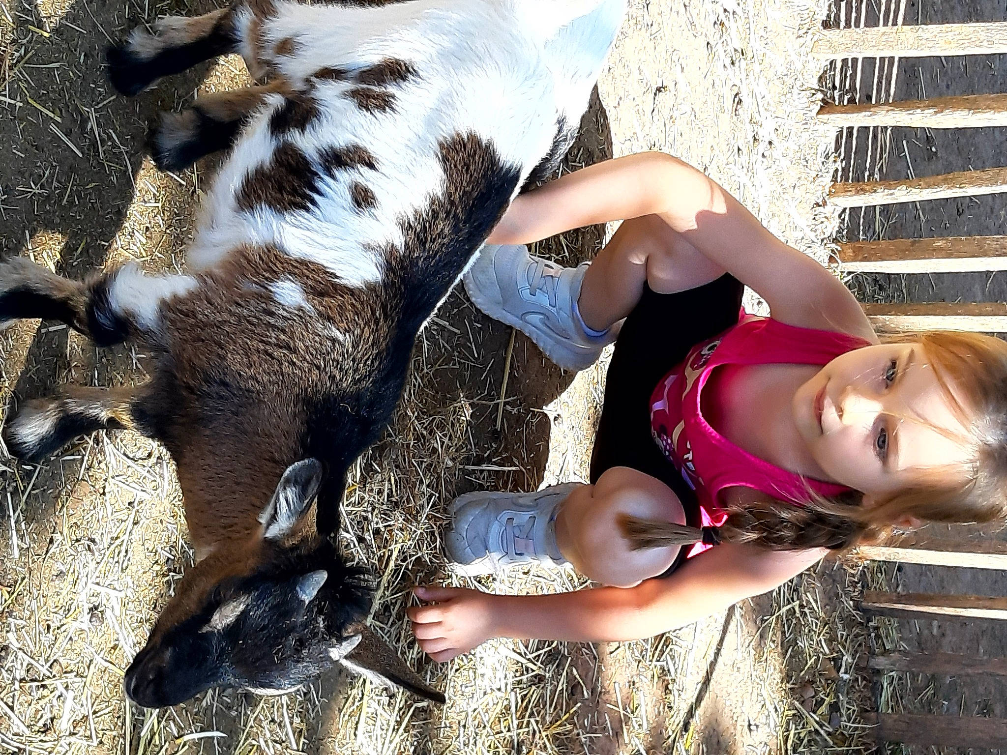 Pauline a rejoint le concours — aidez-le/la à gagner de superbes lots ! child, dog_breed, fun, fur, grass, happy, hat, leisure, livestock, magenta, people_in_nature, person, photograph, recreation, soil, sporting_group, terrestrial_animal, thigh, toddler, working_animal