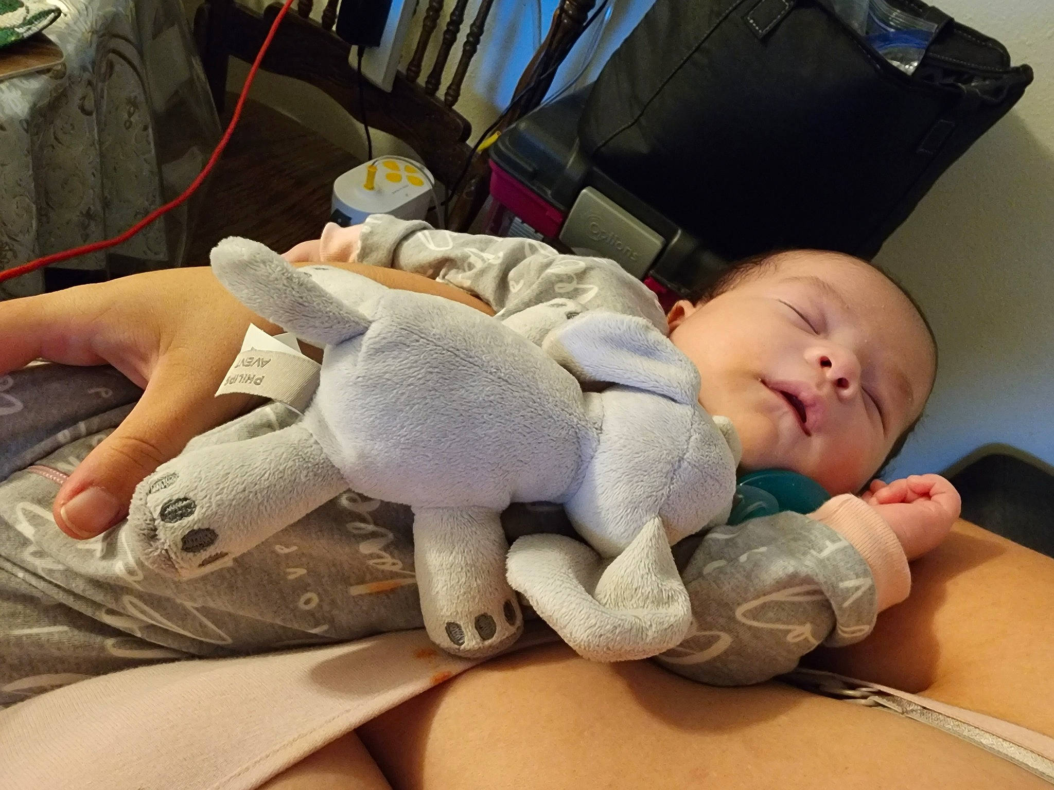 Janet is registered to the contest to win money with this photo: baby, baby_products, baby_sleeping, carmine, child, comfort, finger, human_leg, joint, knee, leg, linens, nail, person, sitting, skin, stuffed_toy, thumb, toddler, toy