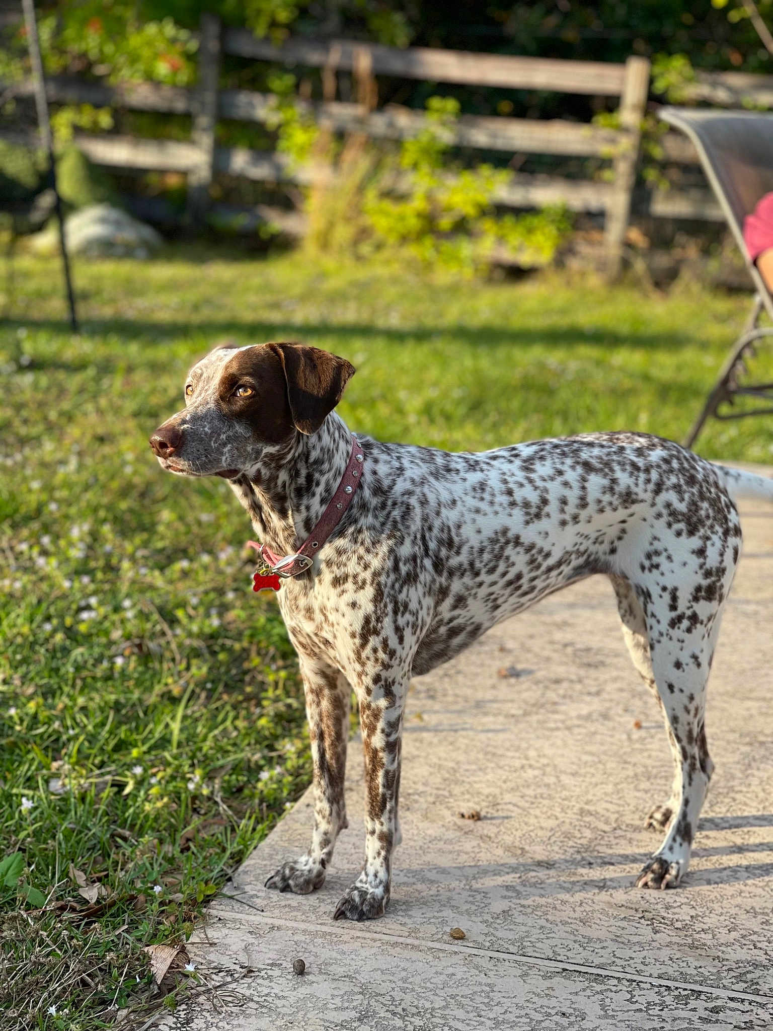 Sophia