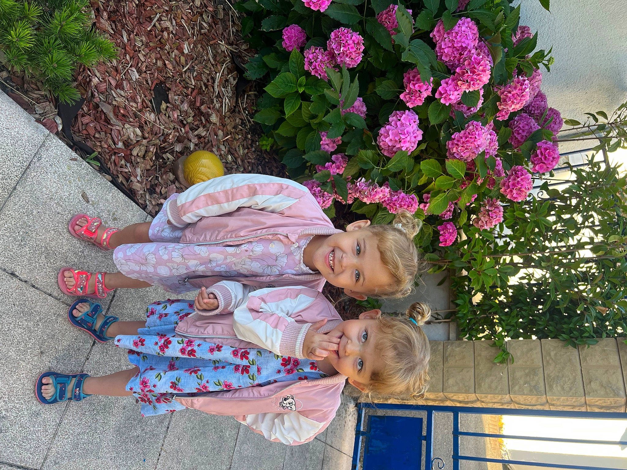 Axèle Et Zoey a rejoint le concours — aidez-le/la à gagner de superbes lots ! annual_plant, child, fence, flower, flower_arranging, grass, happy, hybrid_tea_rose, joy, leisure, magenta, people_in_nature, person, petal, photograph, pink, plant, red, rose, rose_family