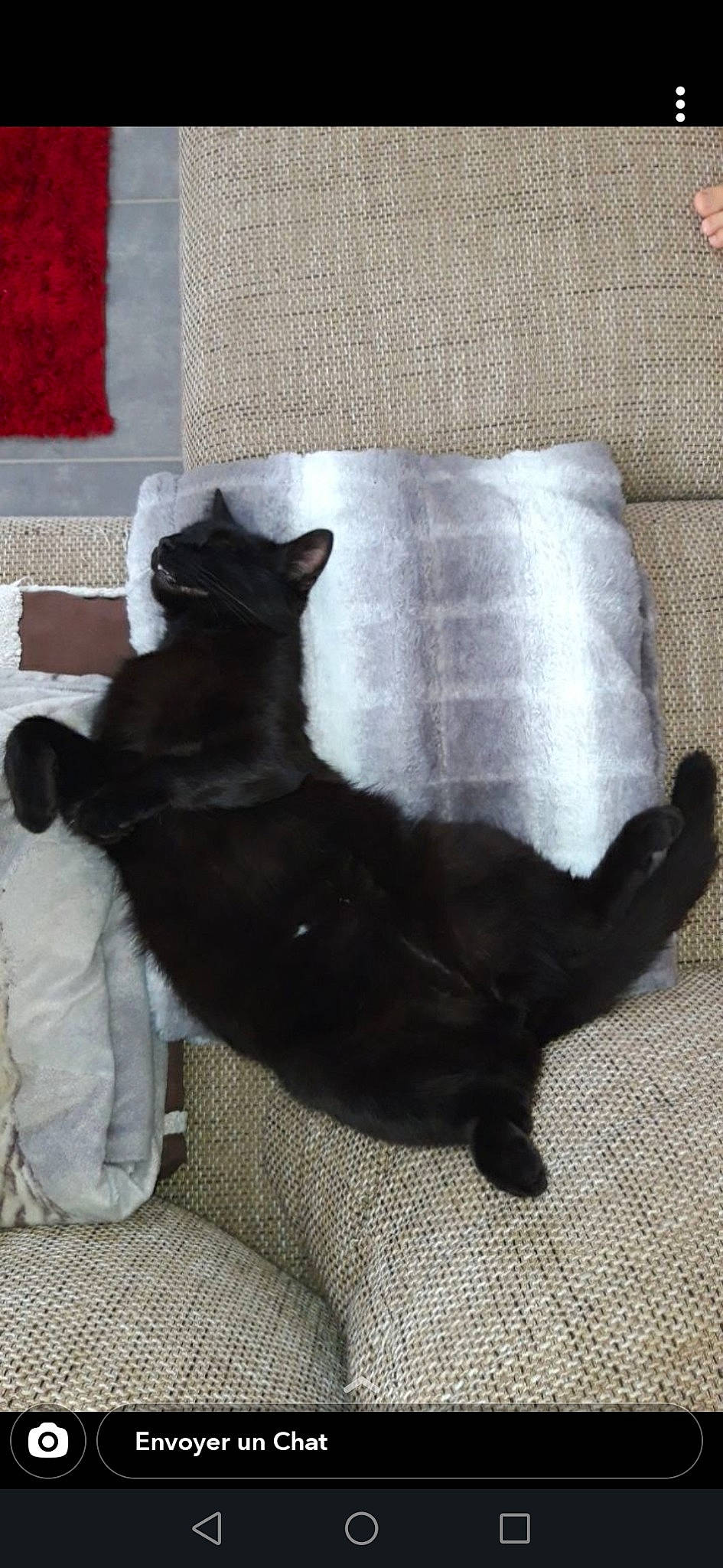 Opi participe au concours pour gagner de l'argent avec cette photo : black, black_cat, carnivore, cat, claw, comfort, felidae, fur, home_accessories, linens, paw, pet_supply, shadow, small_to_medium_sized_cats, snout, tail, terrestrial_animal, whiskers, working_animal