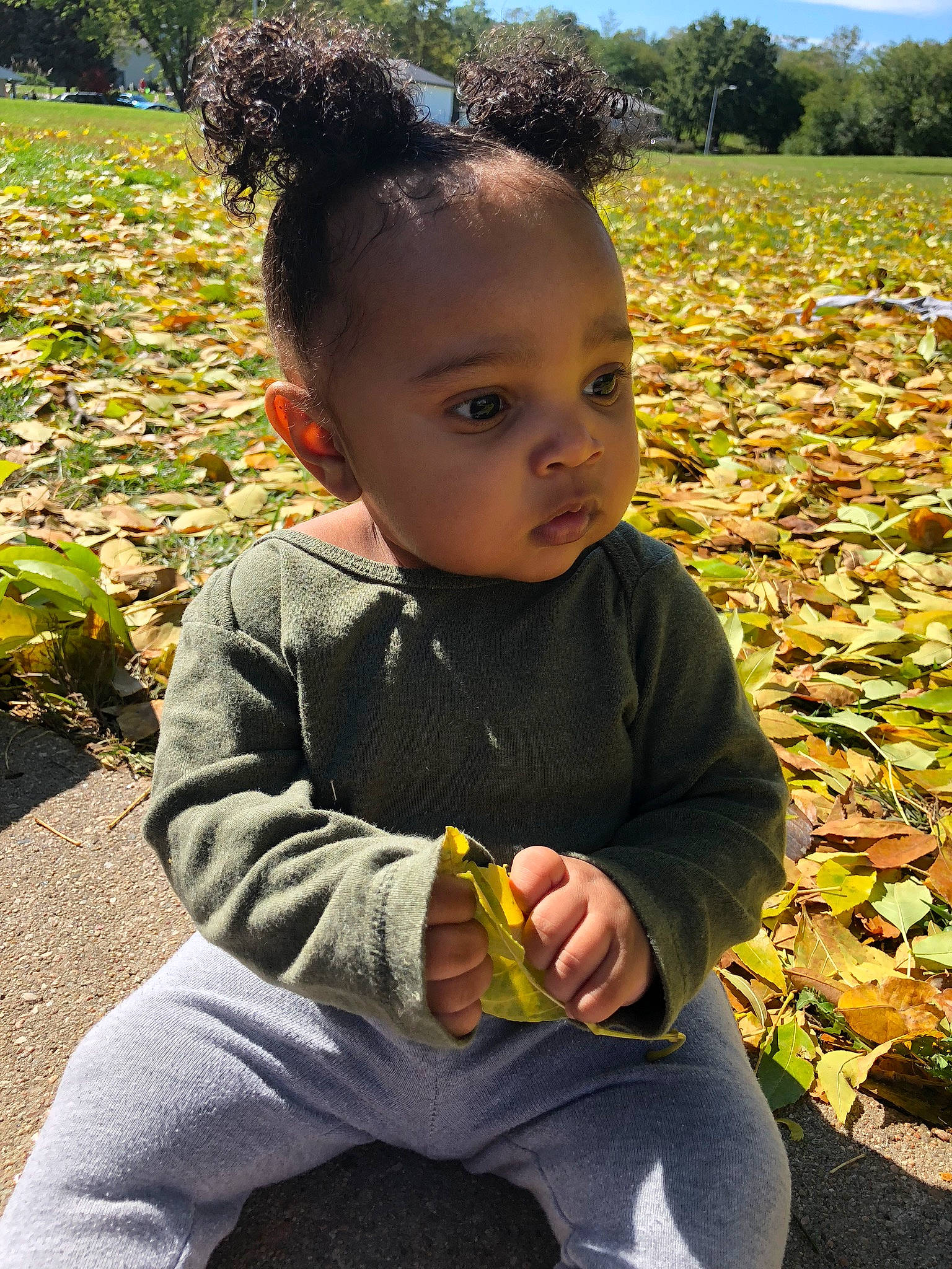 Aubrianna joined the competition — help win amazing prizes! adaptation, autumn, botany, child, grass, hairstyle, leaf, male, person, plant, play, sitting, smile, toddler, tree, yellow