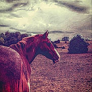 Little Man is registered to the contest to win money with this photo: