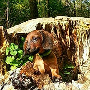 Tee Tee is registered to the contest to win money with this photo: