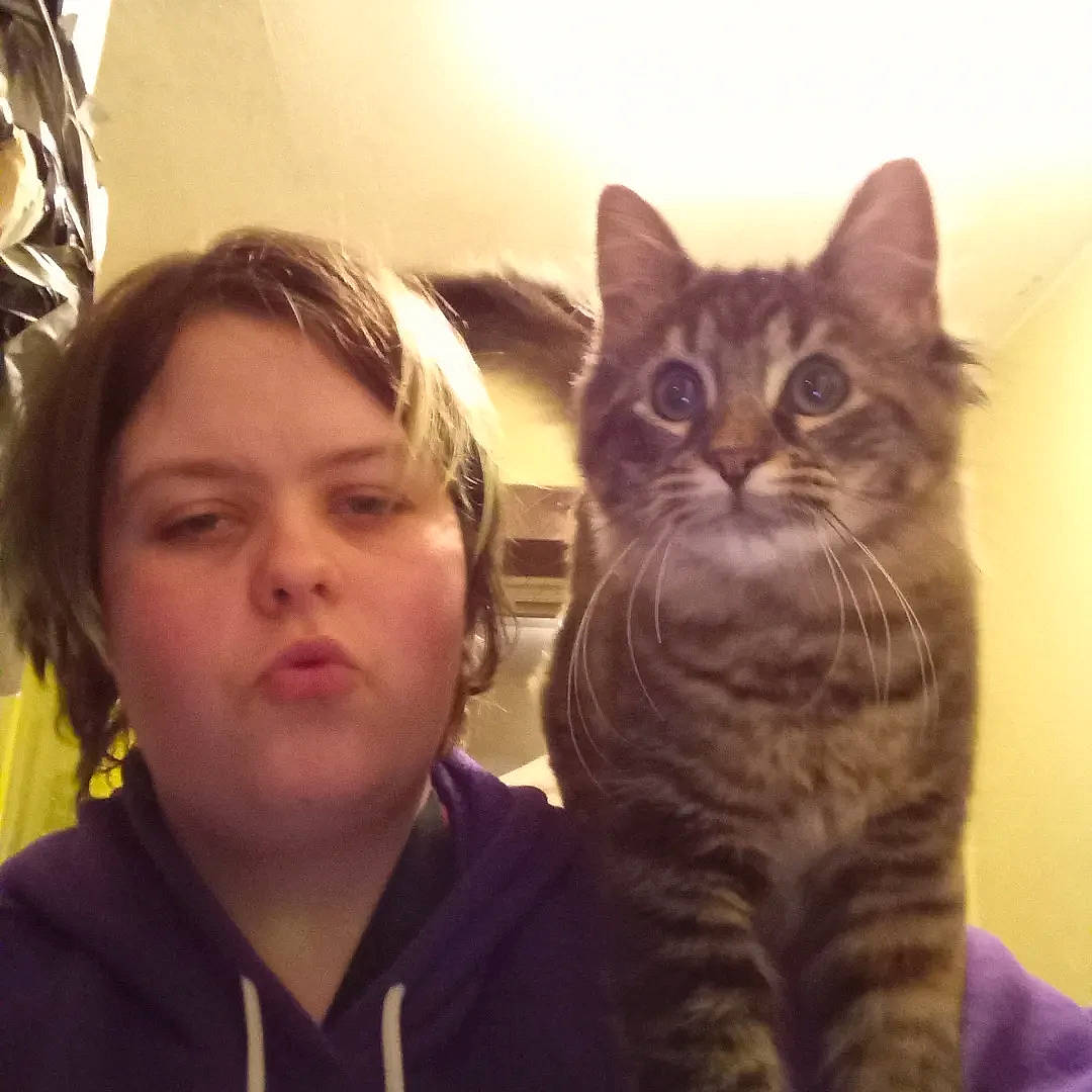 Hermoine joined the competition — help win amazing prizes! carnivore, cat, comfort, domestic_short_haired_cat, ear, felidae, fur, gesture, happy, iris, nose, paw, selfie, sitting, small_to_medium_sized_cats, snout, square, t_shirt, tail, whiskers