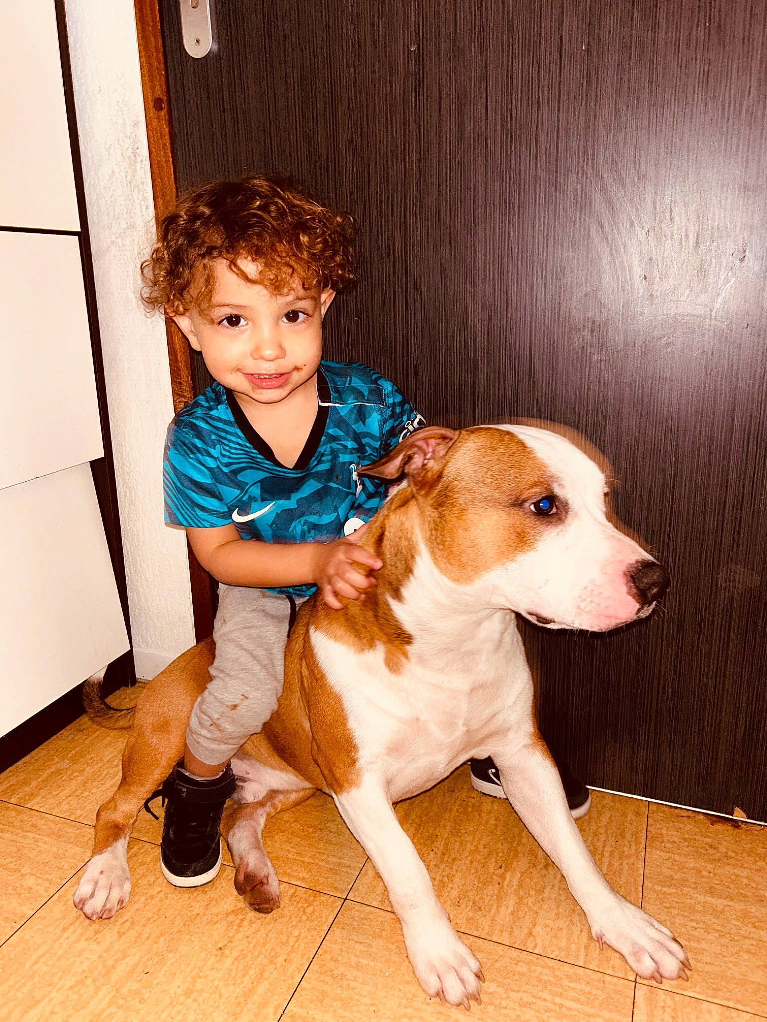 Adam a rejoint le concours — aidez-le/la à gagner de superbes lots ! canidae, carnivore, child, companion_dog, dog, dog_breed, fawn, floor, flooring, fur, happy, hardwood, person, sitting, smile, sporting_group, t_shirt, toddler, whiskers, wood