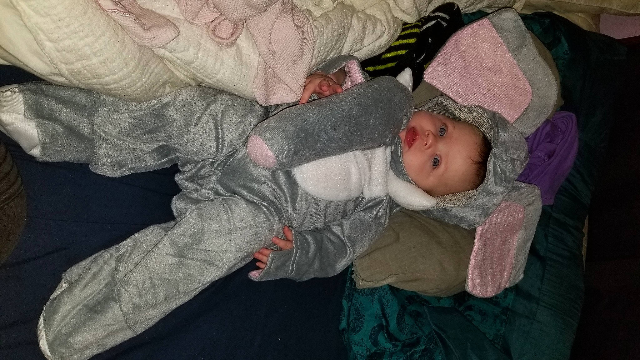 Leela joined the competition — help win amazing prizes! baby, baby_products, baby_toddler_clothing, bed, bedtime, child, comfort, eye, fun, gesture, head, human_body, infant_bed, linens, mouth, nap, person, room, smile, toddler