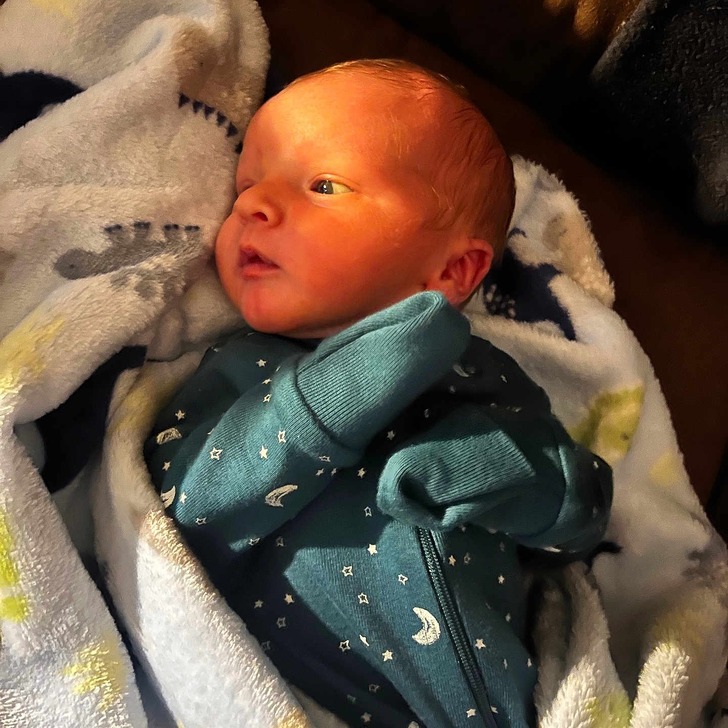 Campbell is registered to the contest to win money with this photo: newborn, baby, blanket, blue_clothing, mittens, face, infant, sleepwear, soft_texture, warm_light, couch, indoor, portrait, cute, resting, cozy, small_hands, wrapped, peaceful, young_child