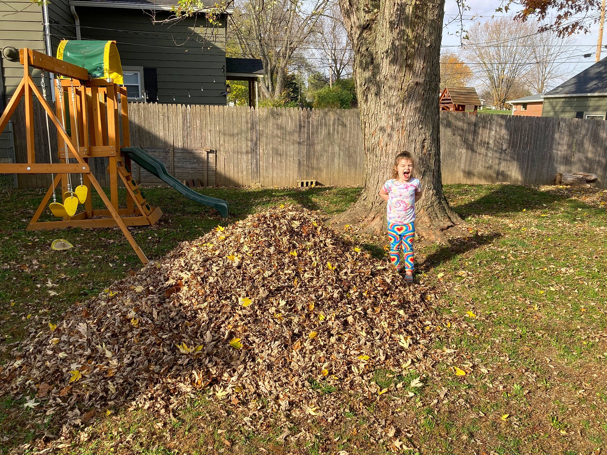 Brooklynn is registered to the contest to win money with this photo: anger, asphalt, branch, grass, grass_family, groundcover, human_settlement, ladder, landscape, lawn, leisure, people_in_nature, person, plant, road_surface, slope, soil, sunlight, toddler, tree