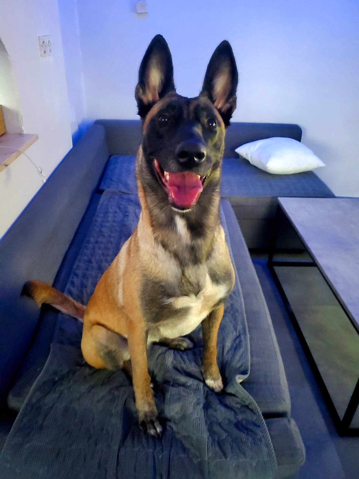 Naya