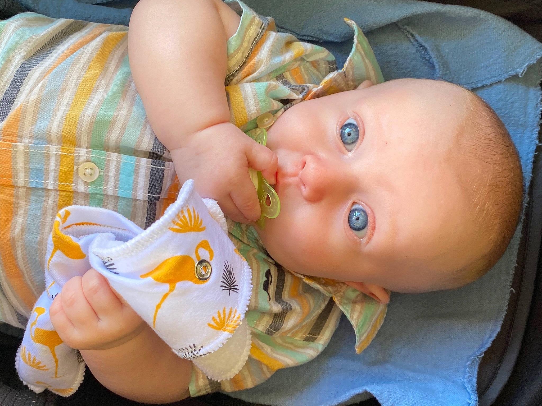 Landyn joined the competition — help win amazing prizes! baby, baby_products, baby_toddler_clothing, cheek, child, chin, eye, finger, fun, grass, iris, lip, mouth, nail, nose, person, sitting, skin, textile, thumb