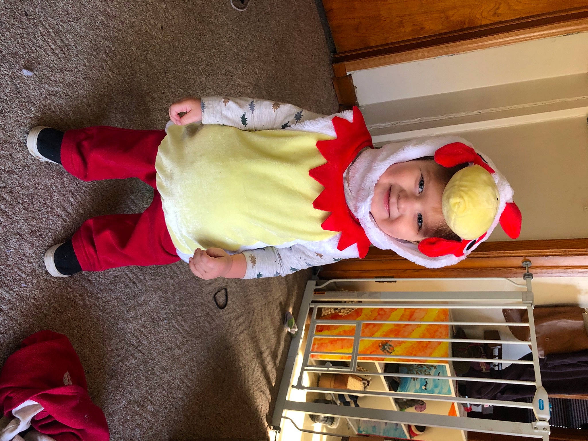 Soren is registered to the contest to win money with this photo: baby, carmine, costume, fictional_character, headwear, humour, joy, person, shelf, shelving, toy