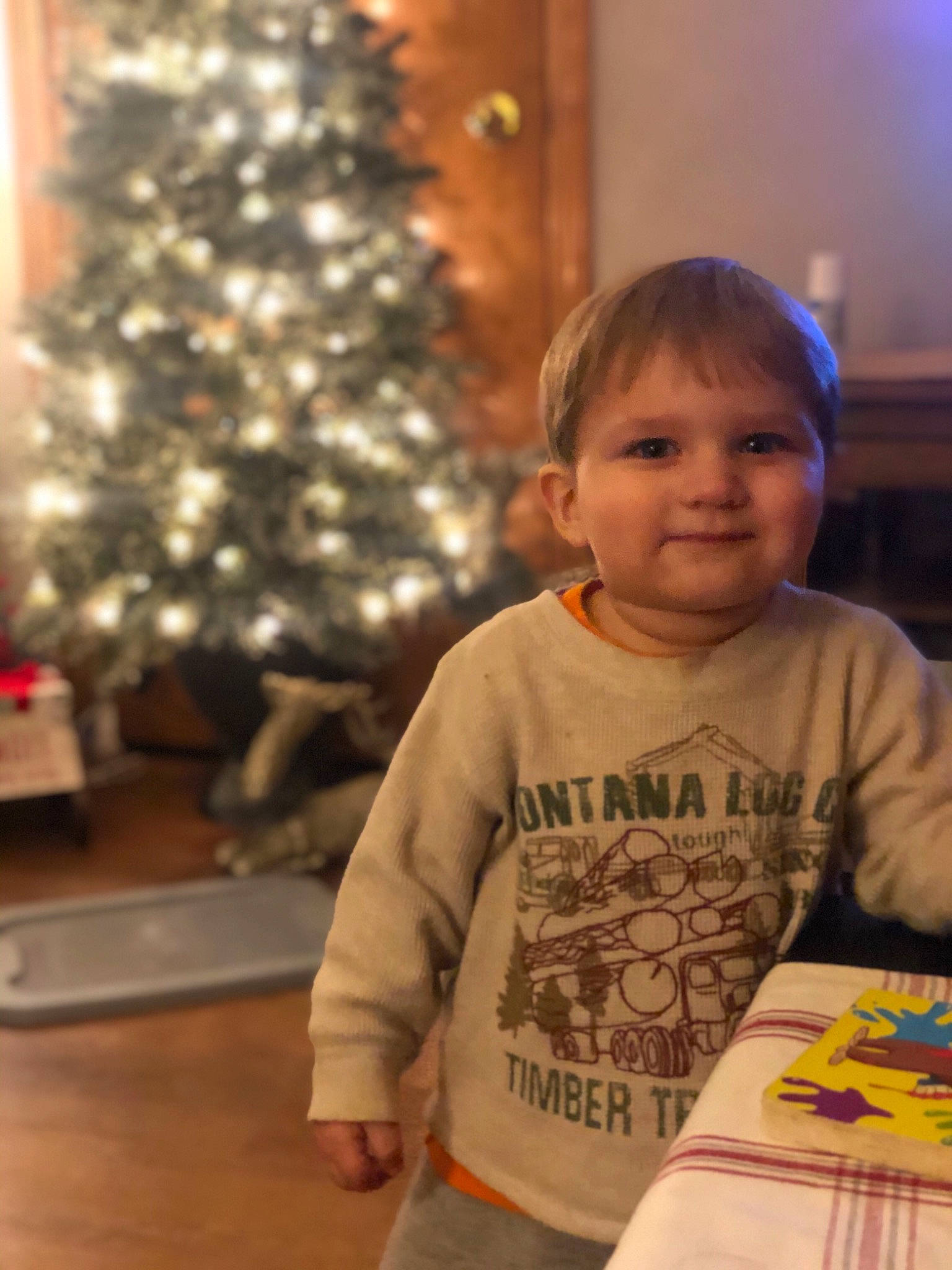 Soren is registered to the contest to win money with this photo: baby, baby_toddler_clothing, child, christmas, christmas_decoration, christmas_eve, christmas_lights, christmas_ornament, christmas_tree, conifer, holiday, holiday_ornament, home, interior_design, joy, living_room, ornament, person, pine_family, sleeve