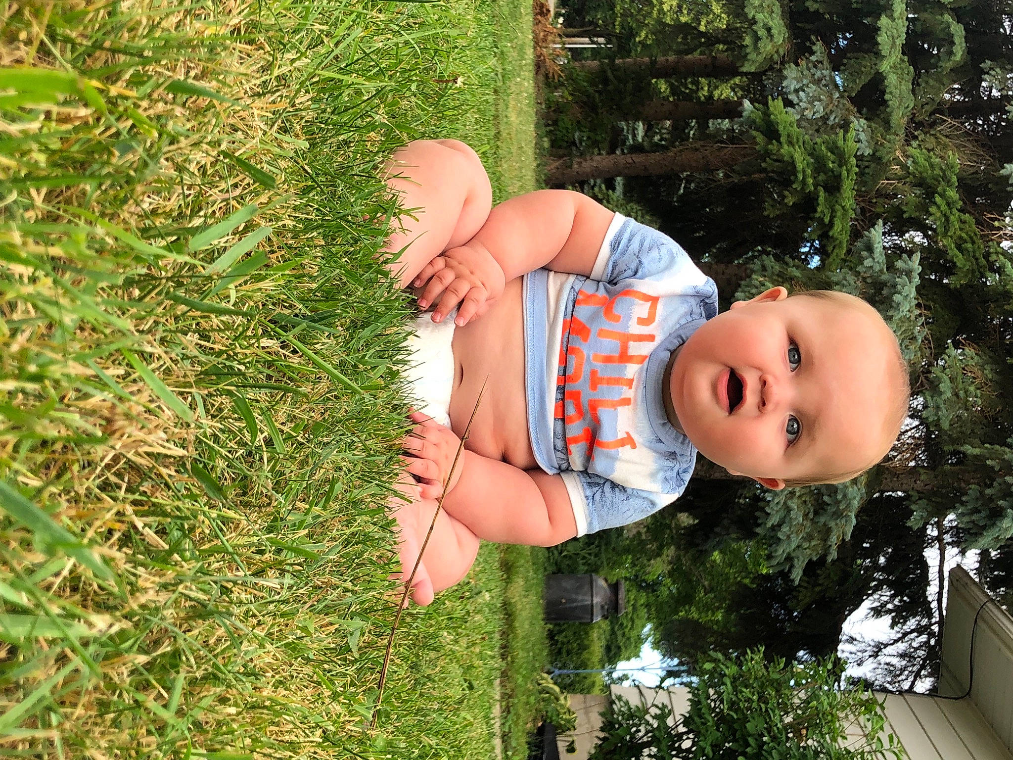 Arlo is registered to the contest to win money with this photo: baby, baby_toddler_clothing, botany, child, fun, garden, grass, grass_family, happy, hat, human_leg, lawn, leaf, mammal, people_in_nature, person, plant, smile, toddler, tree