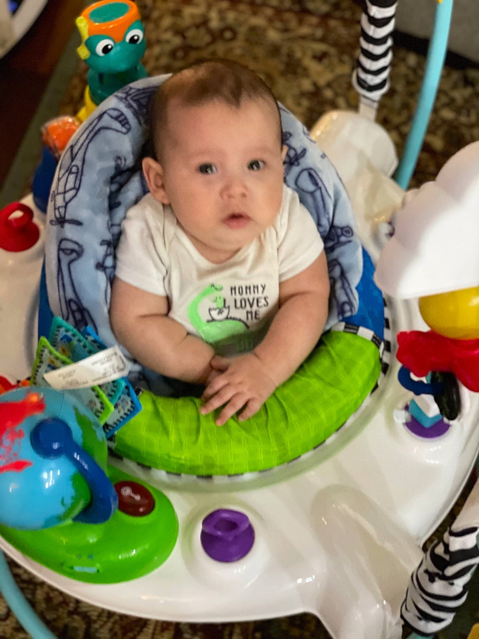 Gatsby joined the competition — help win amazing prizes! baby, baby_products, baby_toddler_clothing, baby_toys, baked_goods, bib, cake, cake_decorating, cake_decorating_supply, child, dessert, flag, nose, person, plastic, plush, sitting, sugar_cake, sweetness, toddler