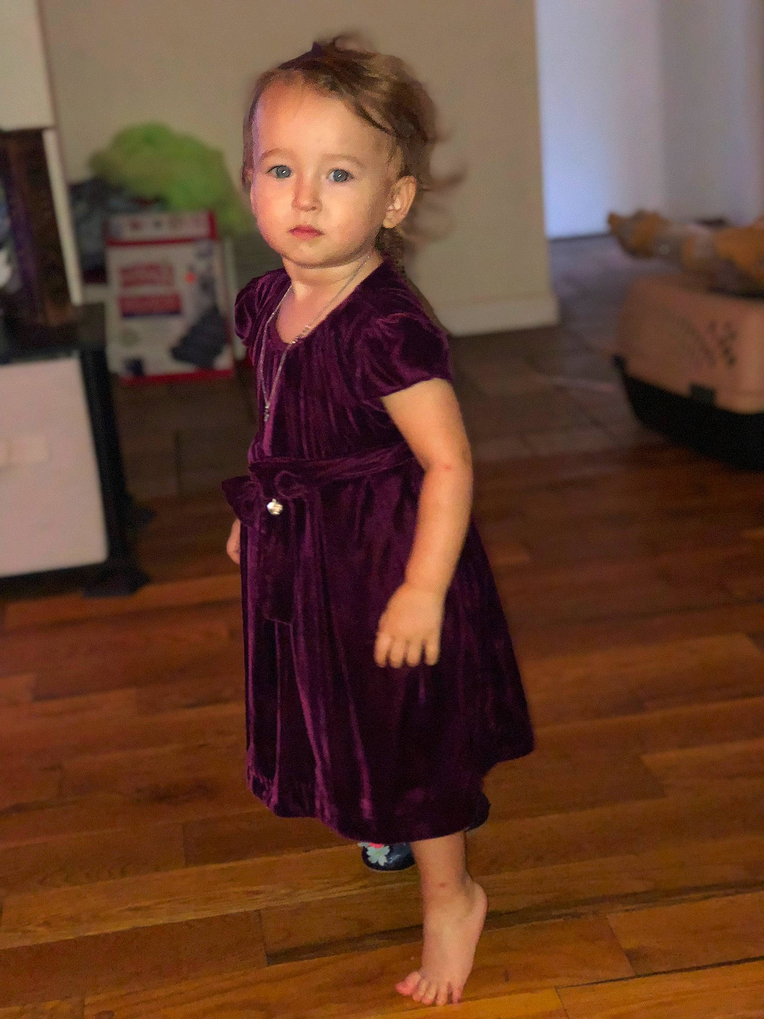 Scarlett Rose joined the competition — help win amazing prizes! baby_toddler_clothing, cheek, child, day_dress, dress, floor, flooring, hardwood, iris, laminate_flooring, one_piece_garment, person, picture_frame, purple, shoulder, skin, standing, toddler, wood, wood_flooring
