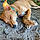 Scooby