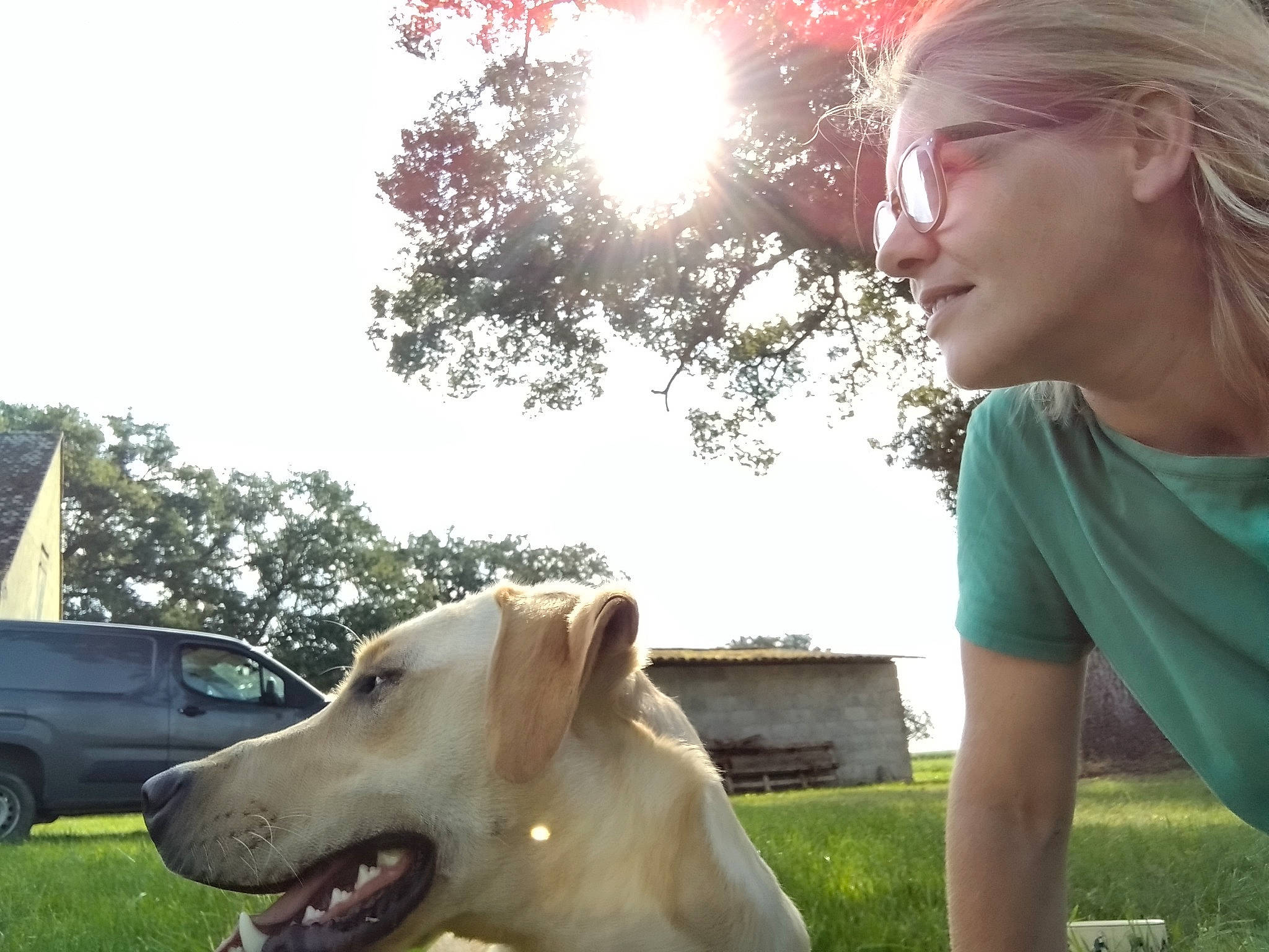 Iggy a rejoint le concours — aidez-le/la à gagner de superbes lots ! carnivore, collar, companion_dog, dog, dog_breed, dog_collar, eyewear, fawn, fun, grass, happy, leisure, light, people_in_nature, plant, recreation, sky, sunlight, tree, working_animal