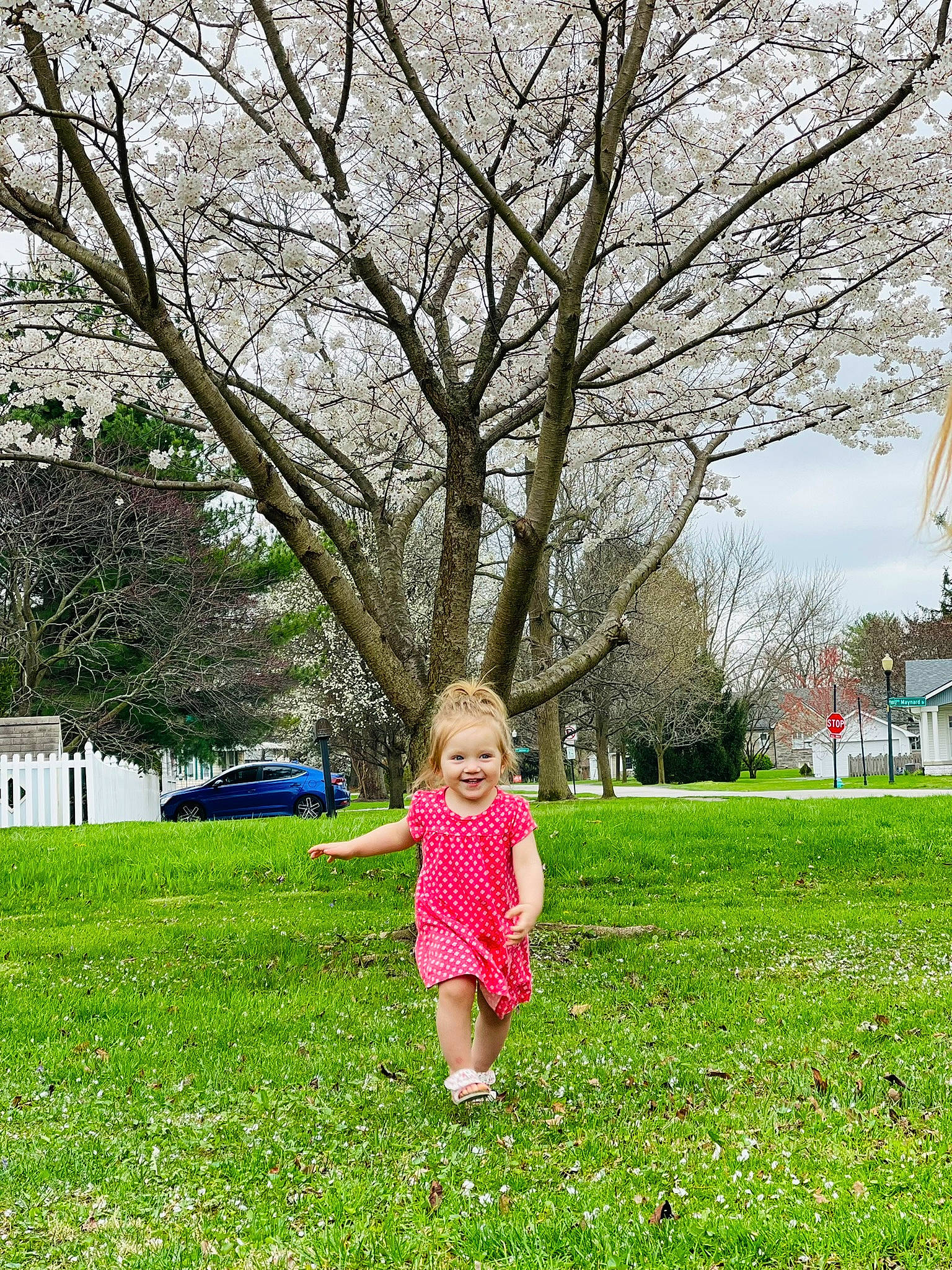 Audrey is registered to the contest to win money with this photo: fun, grass, grass_family, grassland, groundcover, happy, joy, lawn, leaf, leisure, magenta, natural_environment, people_in_nature, person, plant, recreation, sky, smile, tints_and_shades, toddler