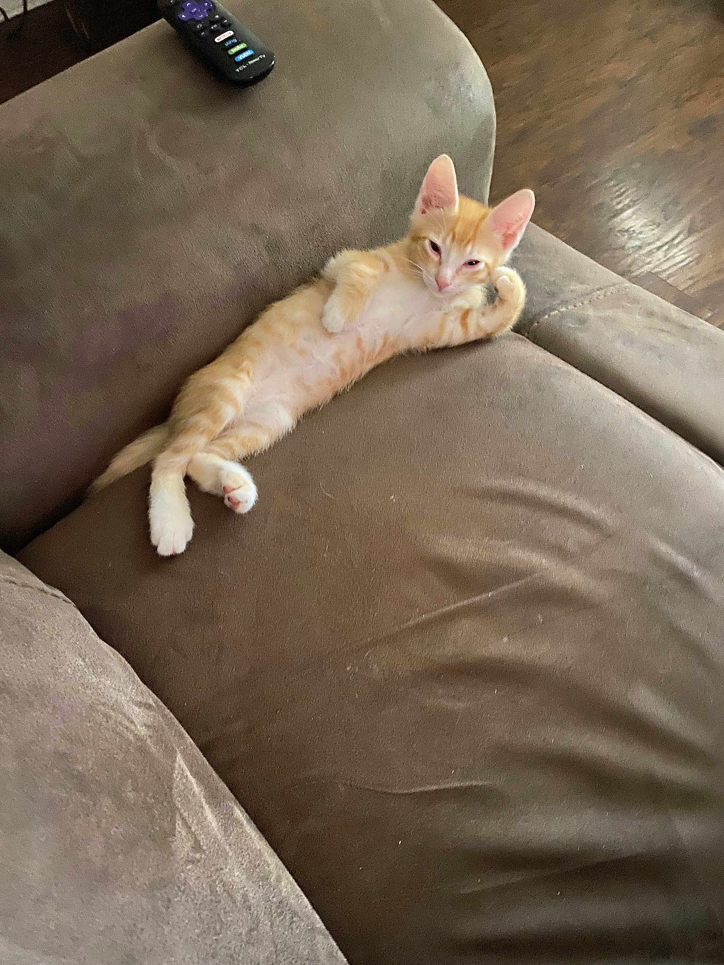 Gordo
