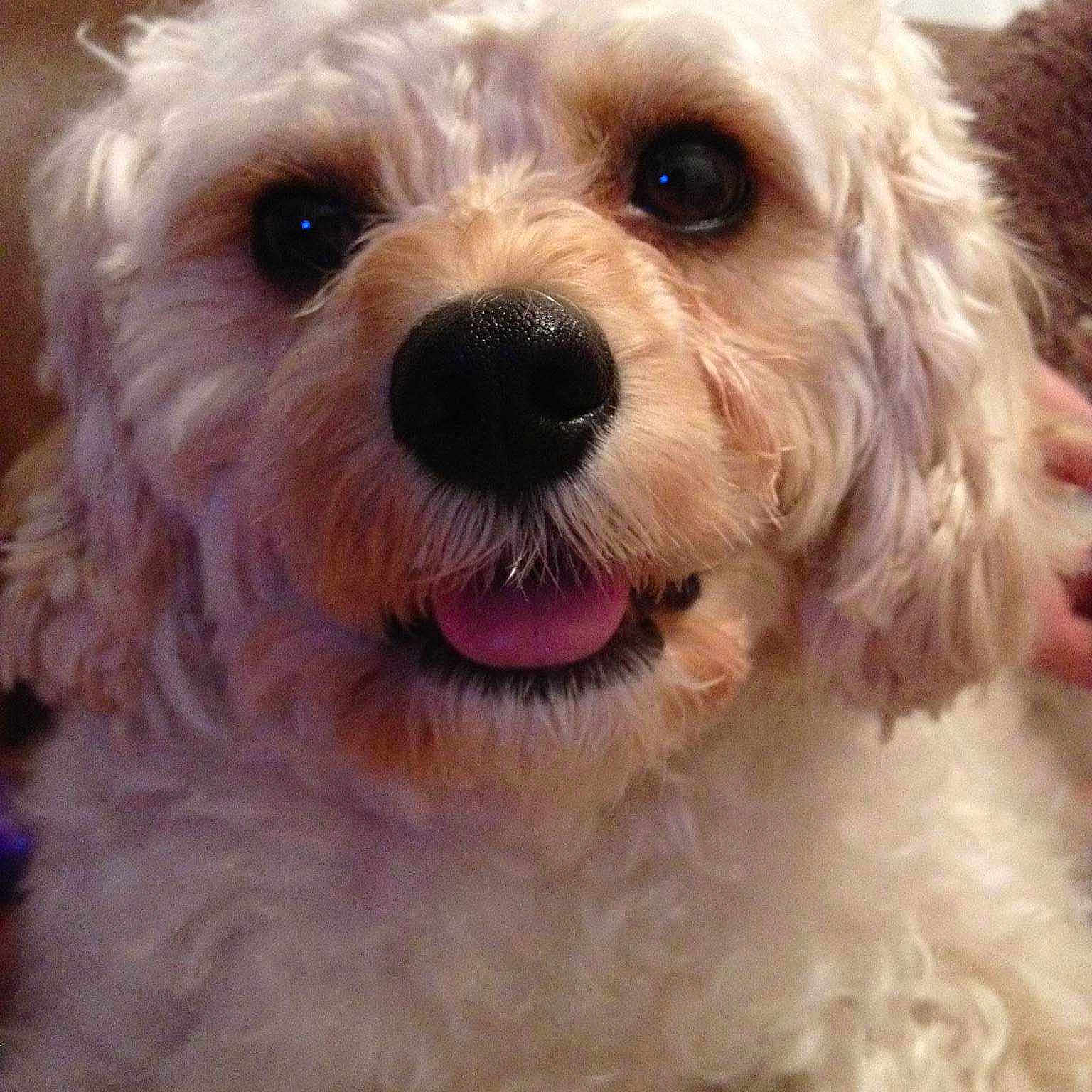 Ruby is registered to the contest to win money with this photo: