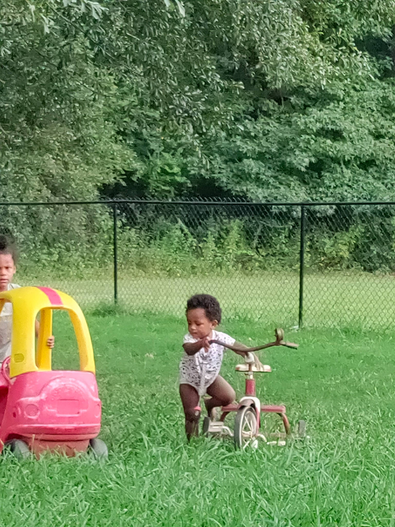 Sa'Diah joined the competition — help win amazing prizes! bicycle, bicycle_wheel, garden, grass, grass_family, grassland, lawn, leisure, meadow, people_in_nature, person, plant, recreation, shorts, sitting, t_shirt, tire, toddler, tree, vehicle