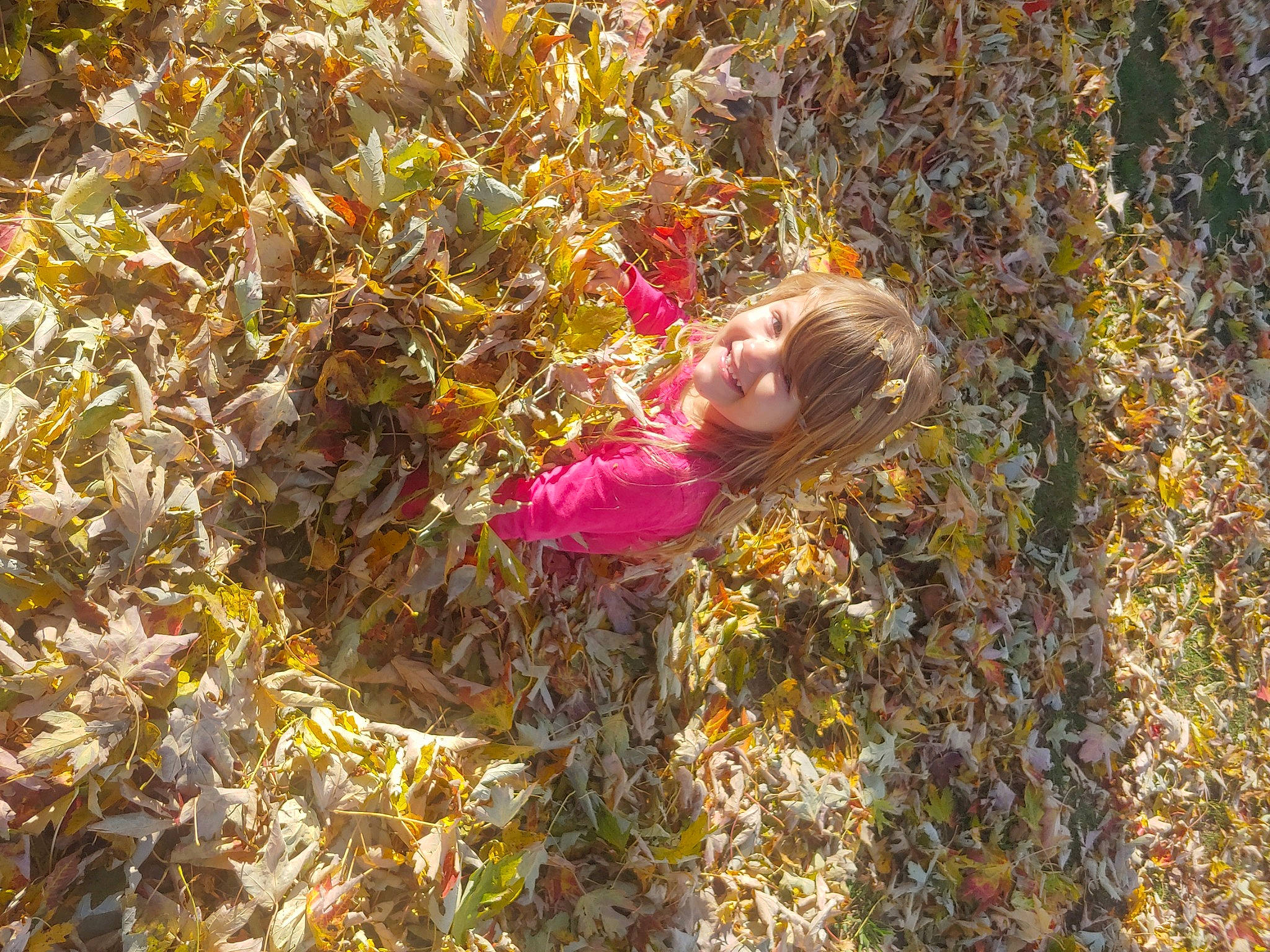 Coraline is registered to the contest to win money with this photo: annual_plant, autumn, deciduous, field, flowering_plant, grass, groundcover, happy, joy, people_in_nature, person, plant, smile, soil, toddler, tree, wildflower, wood