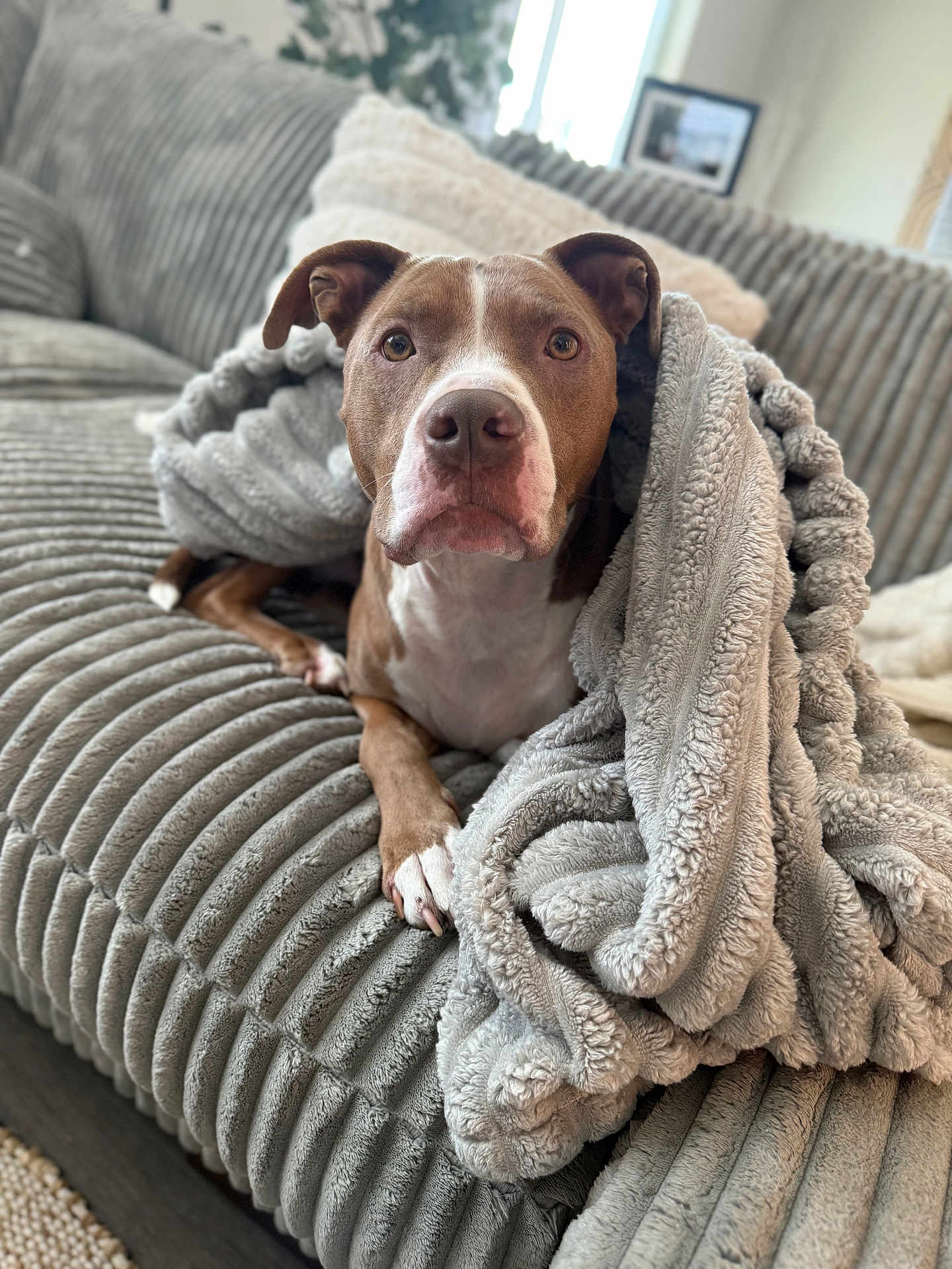Diesel