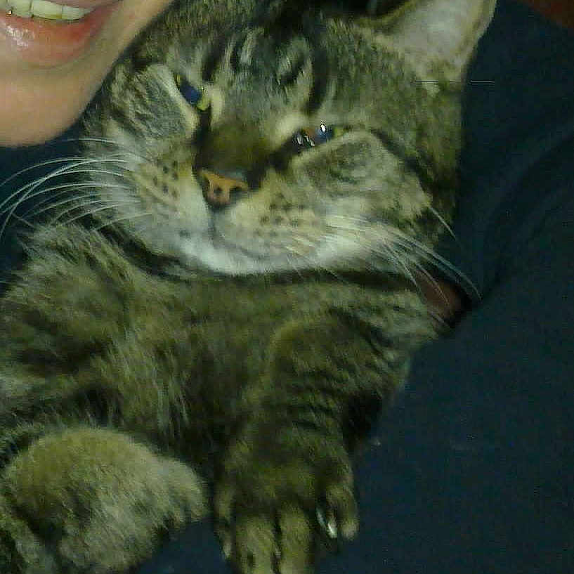 Mini a rejoint le concours — aidez-le/la à gagner de superbes lots !