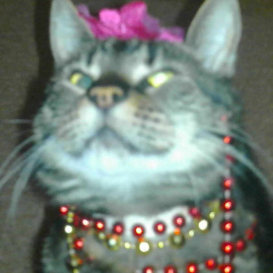 Mini is registered to the contest to win money with this photo: